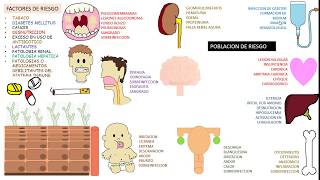 Candida albicans Candidiasis [upl. by Eerehc734]