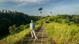 Highlights of Ubud Bali [upl. by Domenech471]