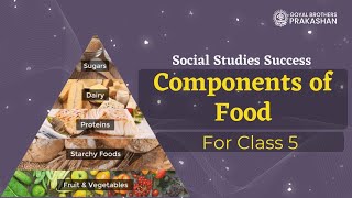 Components of food [upl. by Ainej]