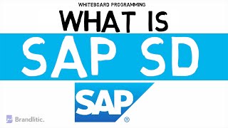 What is SAP SD Explained  Introduction to SAP SD Basics [upl. by Edette]