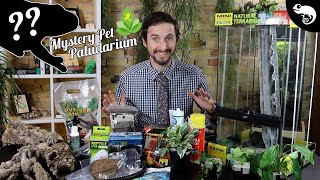 DIY WATERFALL PALUDARIUM For MYSTERY PET From Joshs Frogs [upl. by Doig]