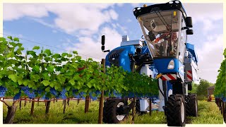 Building A Grape Vineyard From Scratch  Vineyard Farming amp Grape Processing  Farming Simulator 22 [upl. by Yenolem]