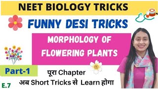 NEET BIOLOGY TRICKS Morphology of Flowering Plants  Part1 [upl. by Ahtela742]