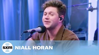 Niall Horan  quotNice To Meet Yaquot Acoustic LIVE  SiriusXM [upl. by Riordan613]