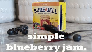 Making Jam with Sure Jell First Time Making Blueberry Jam [upl. by Enirehs]