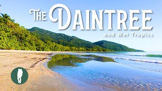 The Daintree Rainforest and Wet Tropics  Queensland  Australia Nature [upl. by Anialad]