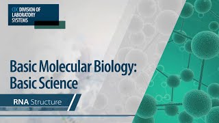 Basic Molecular Biology Basic Science – RNA Structure [upl. by Alaekim]