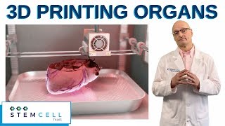 3D Printing Organs With Stem Cells [upl. by Etram747]