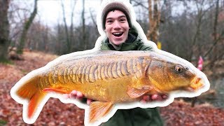 How To Catch Carp with CORN [upl. by Ennoval]