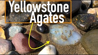 Why They Call it the quotTreasure Statequot  Gemstone Hunting for Yellowstone River Agates in Montana [upl. by Attenra]