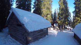 Skiing in Hundfjället Trollskogen Sälen [upl. by Crist]