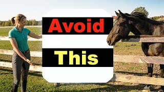 BEGINNER HORSE RIDING MISTAKES  TOP 10 🐴 [upl. by Ayerim521]