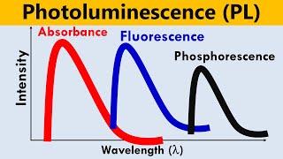 Photoluminescence PL Spectroscopy [upl. by Ennobe]