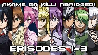 Akame Ga Kill Abridged Episode 13 Recap [upl. by Kantor]