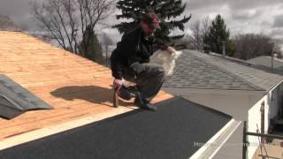 How To Install Shingles 2 Getting Started [upl. by Llewop]