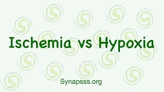 Hypoxia vs Ischemia differences definitions [upl. by Lail]