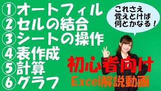 【Excel基本操作】職場で恥をかかない為に最低限覚えておきたいこと [upl. by Althea]