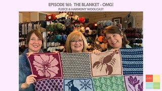 The 2024 Blanket Revealed  Ep 161 Fleece and Harmony Woolcast [upl. by Cash]