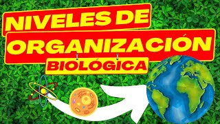 🧬NIVELES DE ORGANIZACION DE LOS SERES VIVOS  BIOLOGIA [upl. by Alexandrina42]