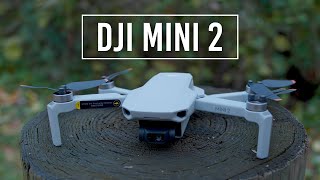 DJI Mini 2 Drone  Handson Review [upl. by Anivel]