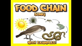 Food Chain song with several examples [upl. by Good]