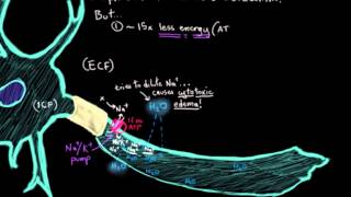 Khan Academy  The Ischemic Cascade in Stroke [upl. by Jard745]