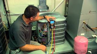 Using a testo 550 Digital Manifold to Charge an AC System [upl. by Docilla]