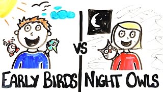 Early Birds vs Night Owls [upl. by Aihk756]