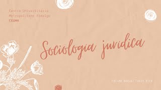 Sociología jurídica [upl. by Ymerrej148]