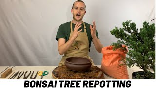 Repotting a Bonsai Tree Tutorial The Bonsai Supply [upl. by Feune251]