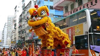 Chinese New Year 2019 Lion Dance Hong Kong [upl. by Radie919]