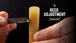 How to Improve Every Saxophone Reed [upl. by Bromleigh401]