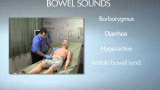 HAL® S3201  Part 9  Bowel sounds [upl. by Hankins654]