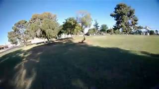 Mobula 7 FPV Whoop  Park Trying New Turtle V2 Camera Settings [upl. by Cato710]