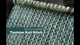 How to Crochet Tunisian Knit Stitch [upl. by Eetnom]