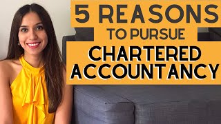 What is a Chartered Accountant [upl. by Caroline]