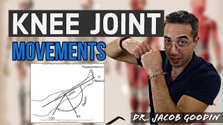 Knee Joint Anatomy Joint Movements [upl. by Cariotta]