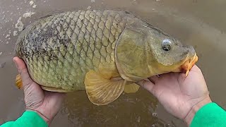 Keep It Simple Carp Fishing  Easy Method For Catching Carp [upl. by Sara-Ann]