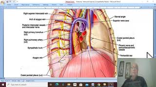 Respiratory Module 21  Azygos veins by Dr Wahdan [upl. by Leandre]