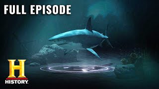 MonsterQuest MONSTER SHARKS S4 E1  Full Episode  History [upl. by Avan]