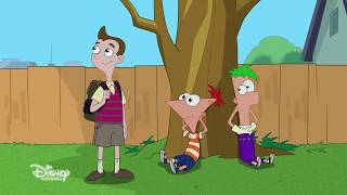 Phineas amp Ferb and Milo Murphys Law Crossover Clip [upl. by Aieken]