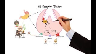 Pharmacology  ANTIHISTAMINES MADE EASY [upl. by Lexie]