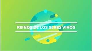 CLASIFICACIÓN y CARACTERÍSTICAS de los SERES VIVOS [upl. by Nivlem901]