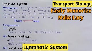 Lymphatic System  Lypmh  Class 11 Biology [upl. by Wenoa]