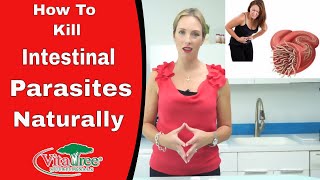 Tips How to Kill Parasites from the Body  VitaLife Show  Ep 167 [upl. by Nooj]