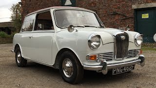 The Wolseley Hornet Is a Posh Classic Mini [upl. by Dj]