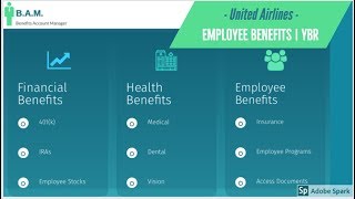 United Airlines Benefits  Your Benefits Resources YBR  Login  Register [upl. by Annice641]