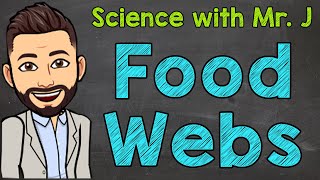 Food Webs  What are Food Webs [upl. by Gluck14]