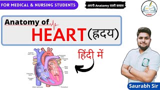 Heart  Valves  Chambers  Cardiovascular system Hindi  For NEET Medical Nursing Students [upl. by Nikolaos]