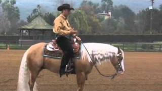 Reining 101  Andrea Fappani [upl. by Eberhart]